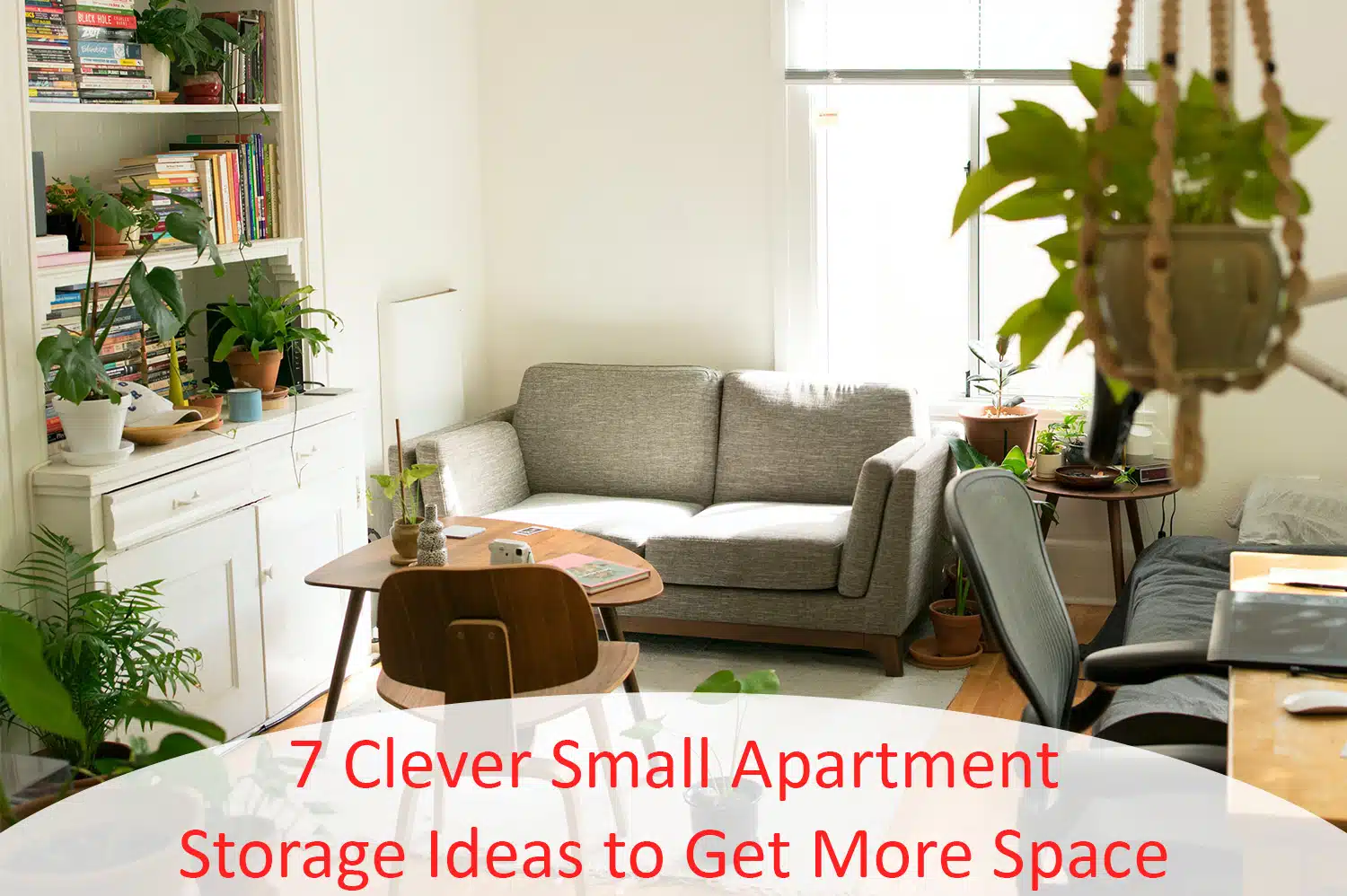 Hanging plants in a apartment living room - one small apartment storage idea to save space.